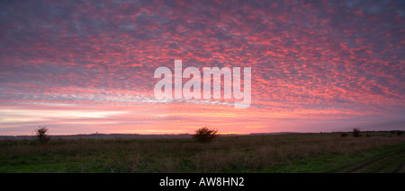 Die Ridgeway Langstrecken Weg entlang der Boader von Berkshire und Oxfordshire in der Nähe von West Ilsley UK Stockfoto