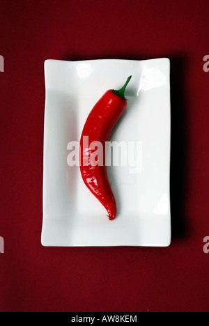 Red Chili auf weißen Teller Rote Chilischote Stockfoto