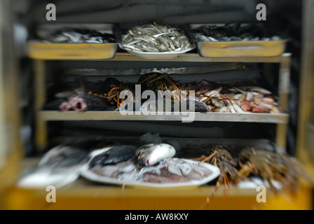 Frische Meeresfrüchte und Fisch zeigt auf ein Restaurant in Insel Zante Zakynthos, Griechenland Stockfoto