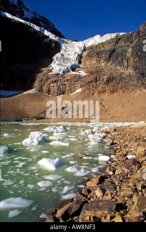 Die Angel Glacier und Eisberge auf See unter Mount Edith Cavell in den kanadischen Rockies Jasper Nationalpark Alberta Kanada Stockfoto