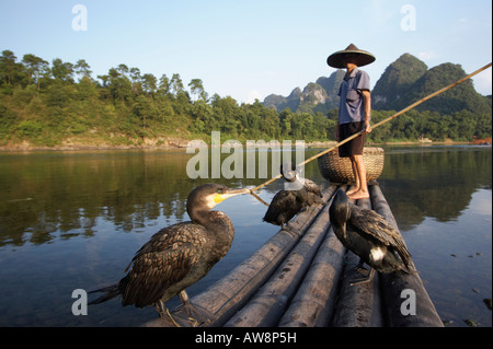 Kormoran Fischer auf Bambus-Floß-Yangshuo, Guangxi, China Stockfoto