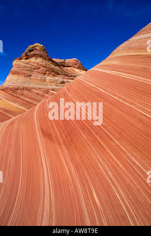 Wirbelnden Sandsteinformation, bekannt als The Wave Coyote Buttes Paria Canyon Vermilion Cliffs Wilderness Arizona Stockfoto