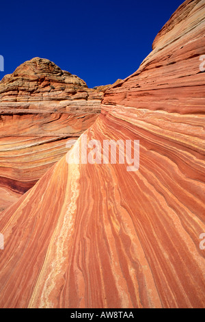 Wirbelnden Sandsteinformation, bekannt als The Wave Coyote Buttes Paria Canyon Vermilion Cliffs Wilderness Arizona Stockfoto