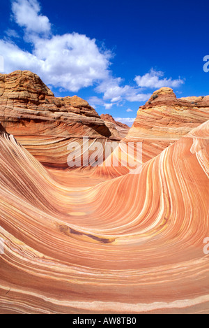 Wirbelnden Sandsteinformation, bekannt als The Wave Coyote Buttes Paria Canyon Vermilion Cliffs Wilderness Arizona Stockfoto