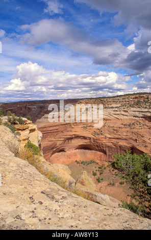 Mummy Cave Ruin im Canyon Del Muerto Canyon de Chelly National Monument Arizona Stockfoto