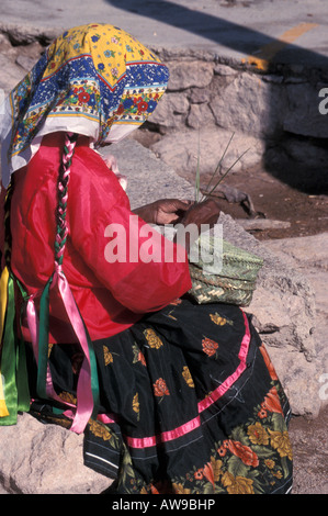 Tarahumara Indianerin weben einen Kiefernnadel Korb an der Divisidero Lookout, Copper Canyon, Chihuahua, Mexiko Stockfoto