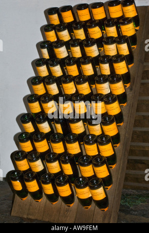 Champagner-Flaschen im Palettenlager Stillage Holzpalette Weinkeller Stockfoto