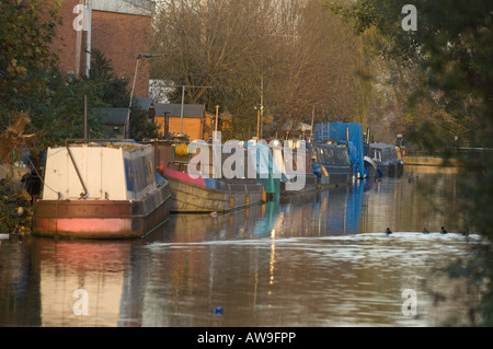 Hausboote auf dem Hertford Kanal-Abschnitt des Flusses Lee, Hertfordshire Stockfoto