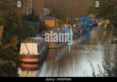 Hausboote auf dem Hertford Kanal-Abschnitt des Flusses Lee, Hertfordshire Stockfoto