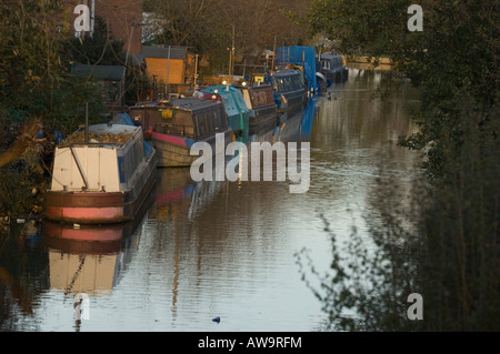 Hausboote auf dem Hertford Kanal-Abschnitt des Flusses Lee, Hertfordshire Stockfoto