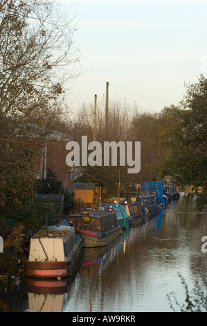 Hausboote auf dem Hertford Kanal-Abschnitt des Flusses Lee, Hertfordshire Stockfoto