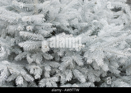 Weiße künstliche weihnachtsbaumzweige Stockfoto