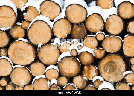 Haufen von Schnee bedeckt Brennholz in Chatel, Frankreich Stockfoto