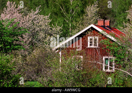 Rote Hütte im Frühlingsgarten Stockfoto