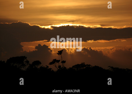 Sonnenuntergang in Soberania Nationalpark, Republik Panama. Stockfoto