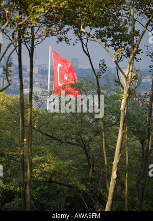 Wellen in eine steife Brise eingerahmt durch einen Stand von Bäumen auf den Schlosspark in den Garten A riesige türkische Fahne Flagge Stockfoto