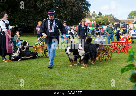 Ein Paar Berner Berghund mit Wagen und Besitzer in Schweizer Tracht auf einer Hundeausstellung. Stockfoto