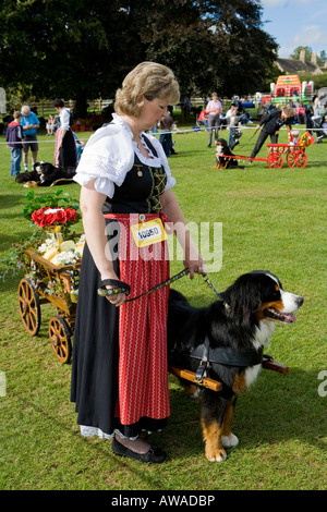 Berner Berghund mit Karren und Besitzer in Schweizer Tracht bei einer Hundeausstellung. Stockfoto