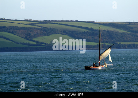 Auster Ausbaggern von Falmouth Working Boot unter Segel in der Carrick Roads in der Nähe von Falmouth Cornwall England UK GB Stockfoto