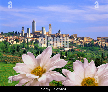 ES - TUSCANY: San Gimignano Stockfoto