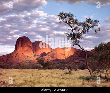 AU - Northern Territory: Die Olgas Stockfoto