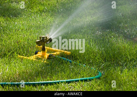 Auf einem grünen Rasen Sprenger Stockfoto