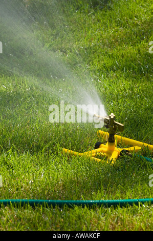 Auf einem grünen Rasen Sprenger Stockfoto