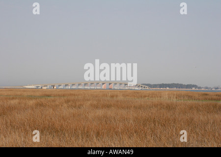 Hoopersville Insel Straßenbrücke von Südosten gesehen Stockfoto