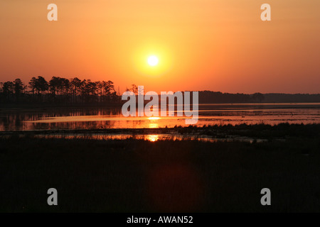 Sonnenaufgang im Blackwater National Wildlife Refuge Stockfoto