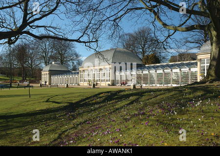 Pavillons, botanischen Gärten, clarkehouse Road, Sheffield, South Yorkshire, England, Großbritannien, Europa. Stockfoto