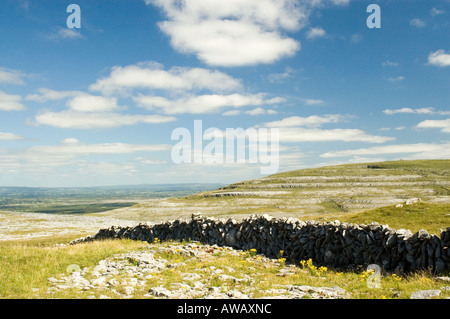 Traditionelle Trockenmauer im Burren Landschaft, Irland Stockfoto