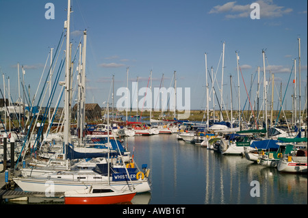 Boote in Tollesbury marina Stockfoto