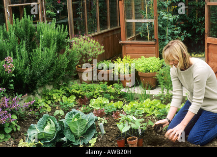 Frau pflanzt Französisch Bohnen Sämlinge Gemüse Garten Gewächshauspflanzen Garten praktische Stockfoto