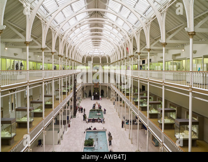 Königliches Museum, Teil der staatlichen Museen von Chambers Street, Edinburgh, Schottland, Schottland Stockfoto