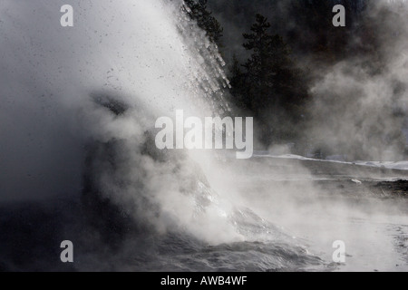 Ein Geysir im Yellowstone National Park in Wyoming USA ausbrechenden Stockfoto
