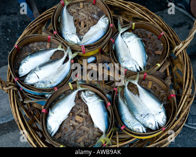 Verkauf von Fischen In einem Bangkok Markt Thailand Südostasien Stockfoto