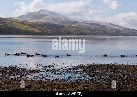 Schneebedeckter Berg über Llyn Tegid, Bala, Gwynedd, Nordwales Stockfoto