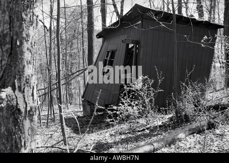 Die verlassene alte Holzhütte im Wald Bilder Bilder Fotos Fotografien große hochauflösende horizontale in den USA Hi-res Stockfoto