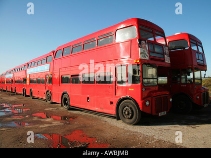 Eine Reihe von zurückgezogen London Routemaster. Stockfoto