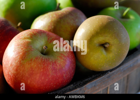 Auswahl an englischen Äpfel Stockfoto