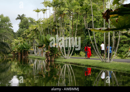 Sir Seewoosagur Ramgoolam Botanical Gardens, Mauritius Stockfoto