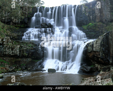 EBOR verliebt sich in Guy Fawker River Nationalpark in New South Wales, Australien Stockfoto