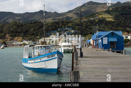 Akaroa Harbour, Banks Peninsula, Neuseeland Stockfoto