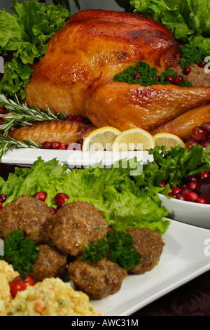 Braten Sie den ganzen truthahn mit Füllung und Cranberries auf einem weißen Teller Thanksgiving festliches Abendessen auf dem Tisch niemand vertikal in den USA Hi-res Stockfoto