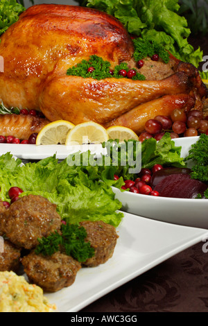 Braten Sie den ganzen truthahn mit Füllung und Cranberries auf einem weißen Teller Thanksgiving festliches Abendessen auf dem Tisch niemand vertikal in den USA Hi-res Stockfoto