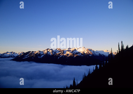 Sonnenaufgang über den Olymp und Hoh River Valley, Olympic Nationalpark, Washington State Stockfoto