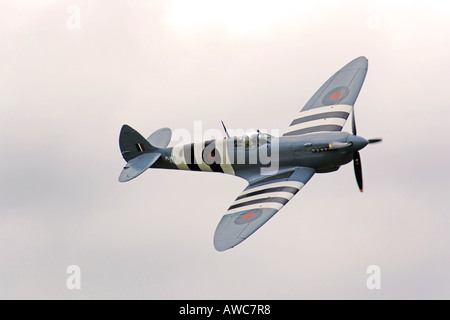 Dem zweiten Weltkrieg Spitfire Foto Recon Mark 11 in D-Day-Markierungen auf dem Display bei einer Airshow Stockfoto