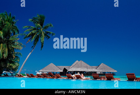 Pool und Beachbar auf maledivische Insel Malediven Indischer Ozean Medhufushi Meemu Atoll Stockfoto