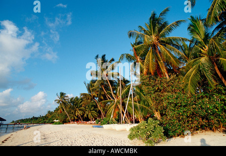 Katamaran am Strand Malediven Indischer Ozean Medhufushi Meemu Atoll Stockfoto