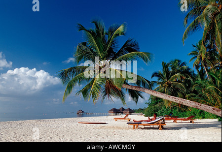 Strand auf Maledivian Insel Malediven Indischer Ozean Medhufushi Meemu Atoll Stockfoto